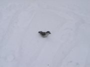 Ghost Ridge-Twin Lakes 032 